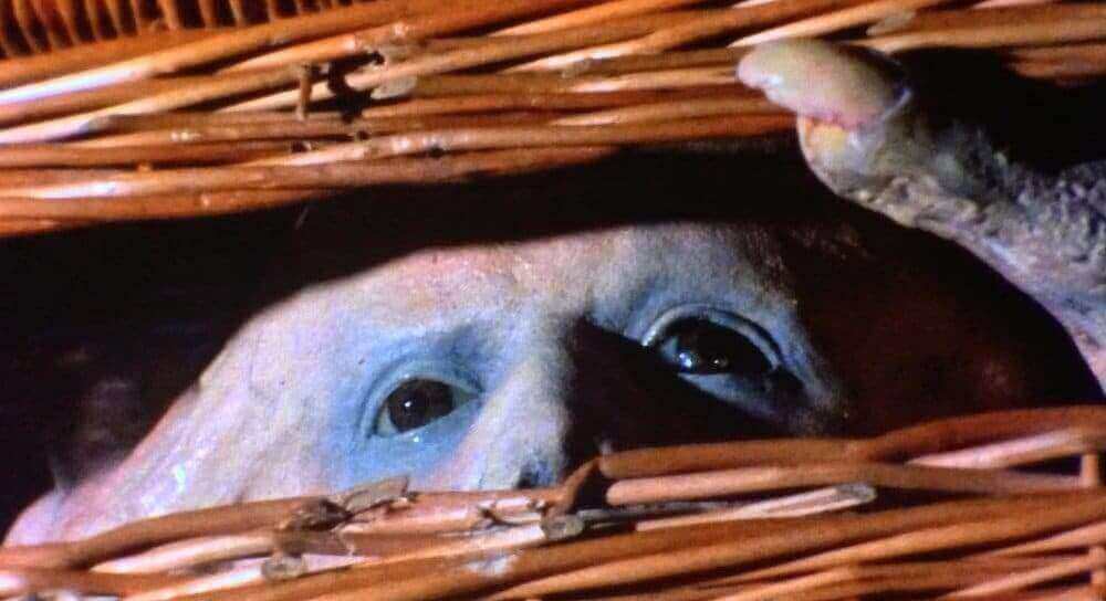 basket case