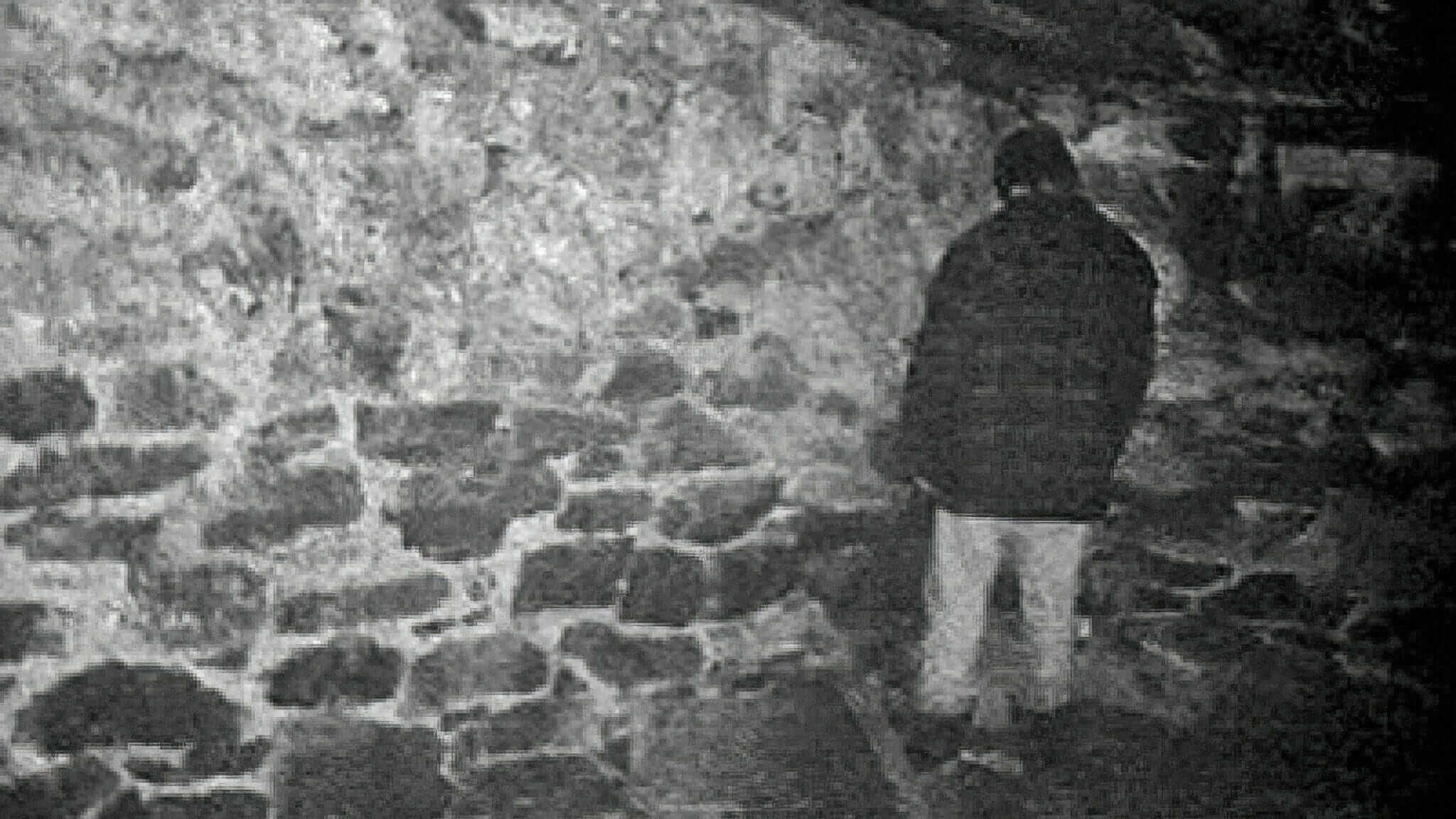 the blair witch project 1999 best found footage horror movies-final----Motion
