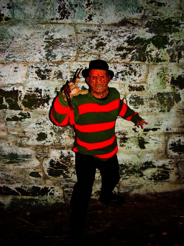 Freddy.jpg